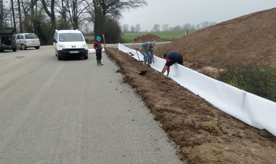 Une barrière anti-amphibiens