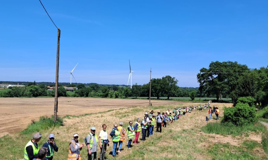 Les scolaires du Fief-Sauvin en visite au Parc éolien